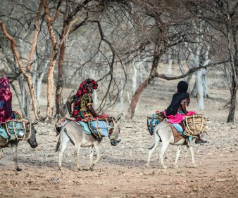 Best Mauritania and Senegal tours